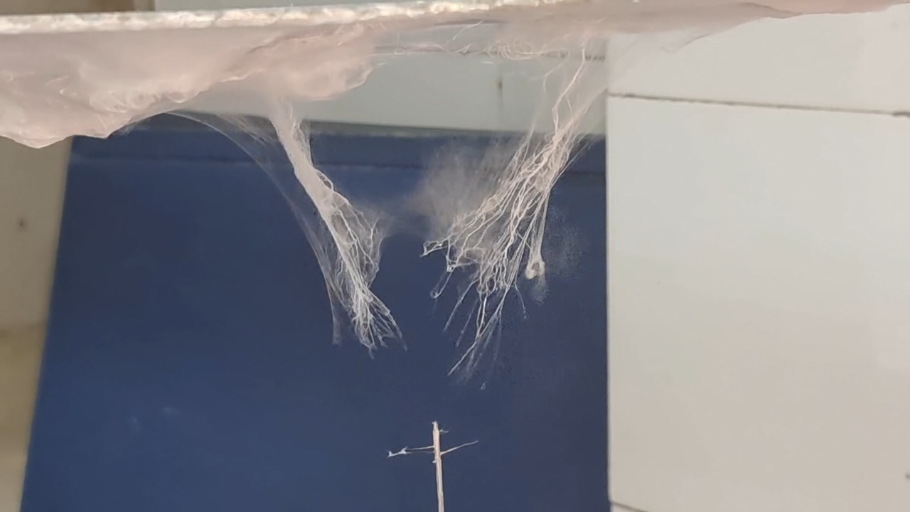 Electrospinning: Solutions of Polystyrene and Polyvinylidene Difluoride in Dimethylformamide